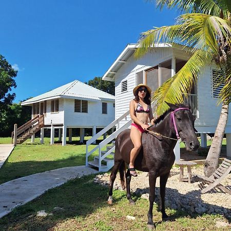 Horse Cottage Sarteneja Exterior foto