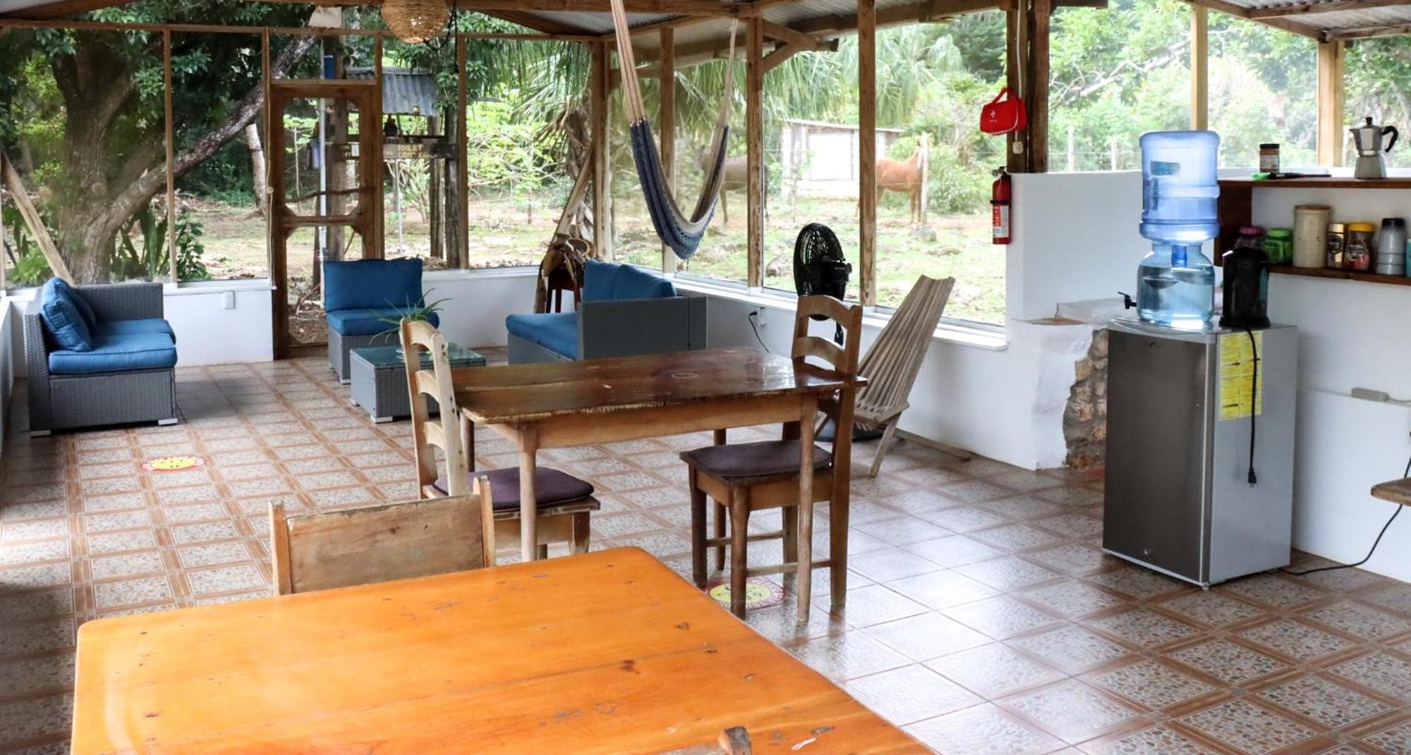 Horse Cottage Sarteneja Exterior foto