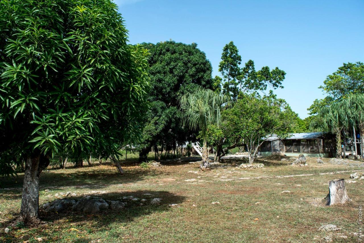 Horse Cottage Sarteneja Exterior foto