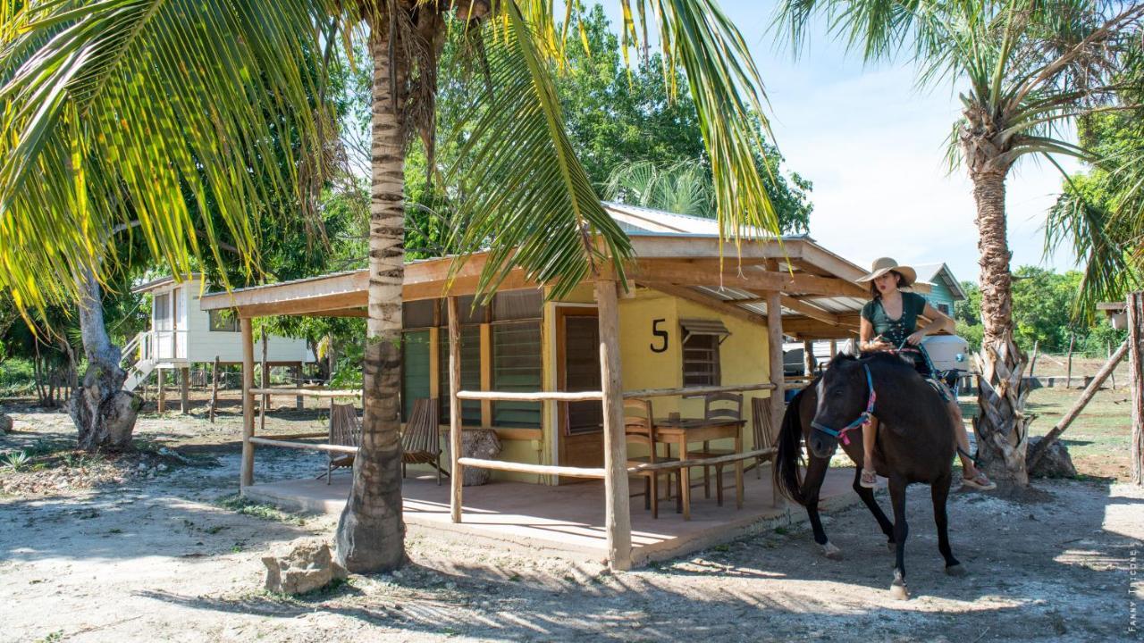 Horse Cottage Sarteneja Exterior foto