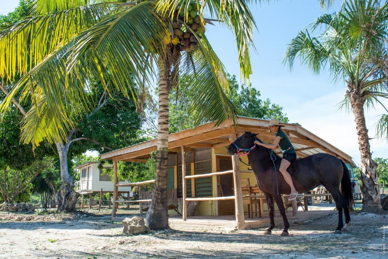Horse Cottage Sarteneja Exterior foto